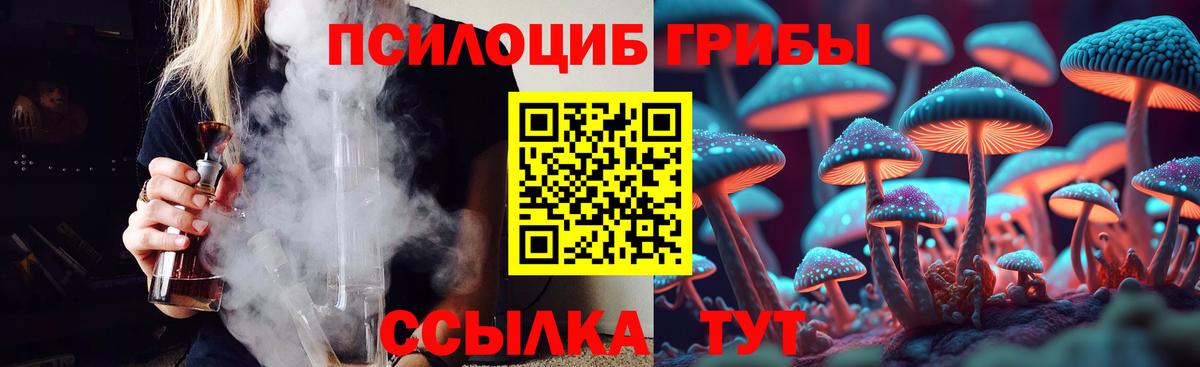Псилоцибиновые грибы Magic Shrooms  закладки  Карпинск  Вход с VPN 
